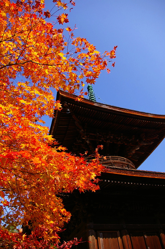 Pagoda image