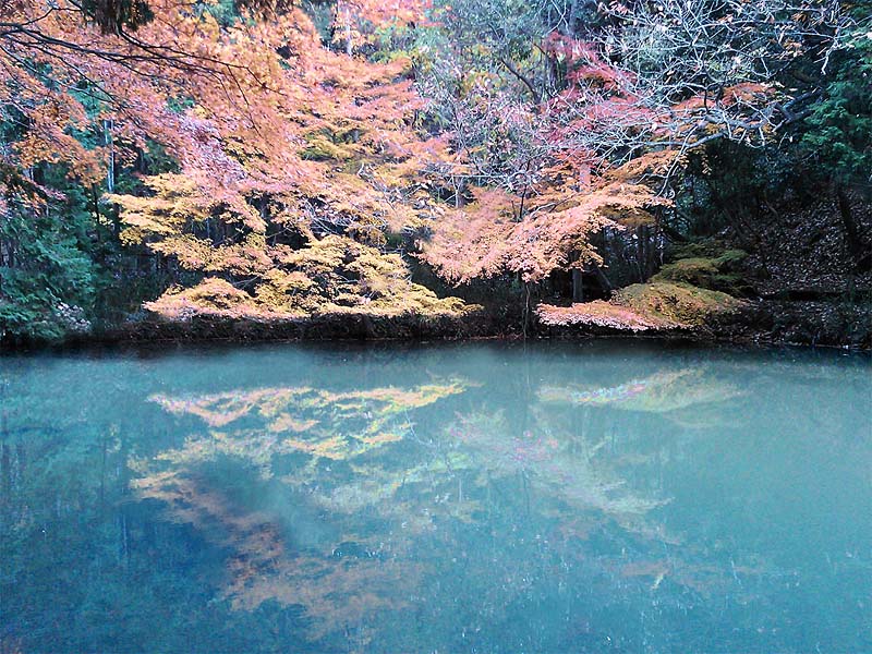 Momijidani image