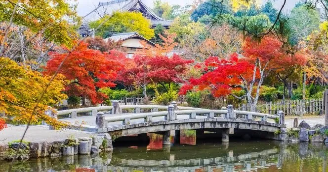 Maruyama Park image