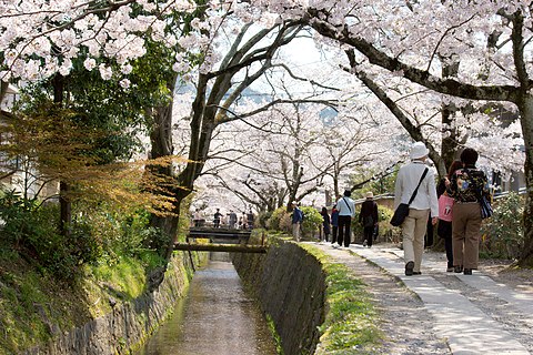Philosopher's Path  image