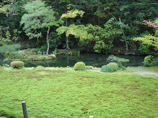 The garden image